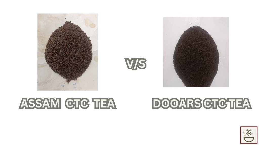 Assam CTC Tea vs. Dooars CTC Tea: Which Should You Stock for Wholesale?