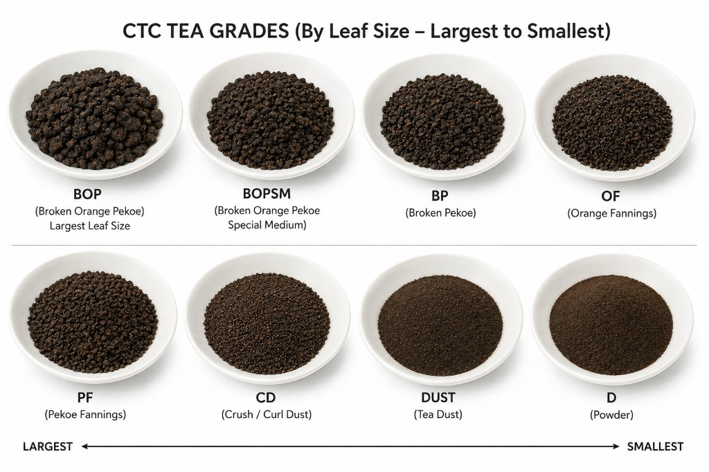 Tea Grades Explained: Full Forms of BP, BOP, OF, PD (CTC & Orthodox)