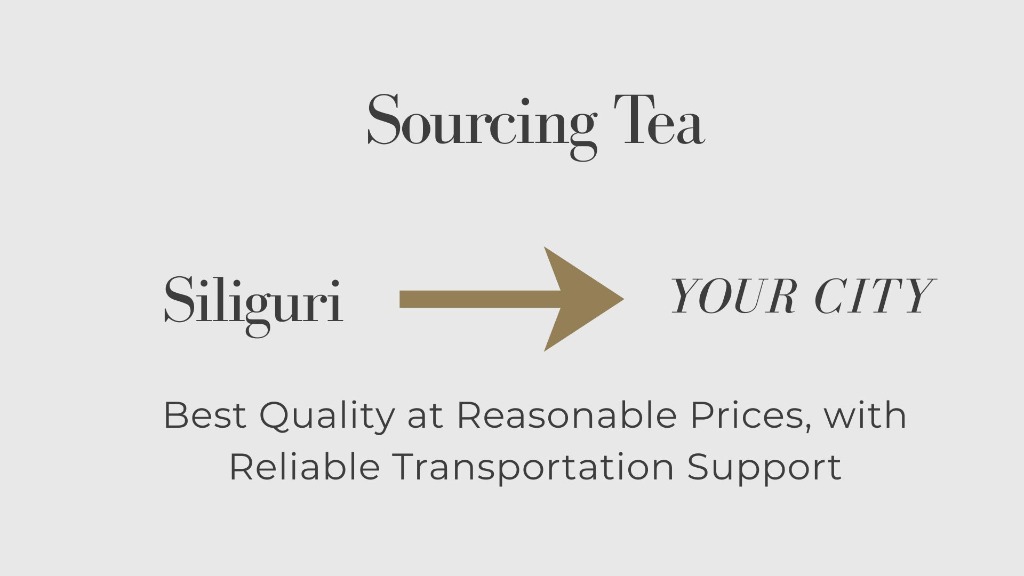 Guide to Sourcing Tea for Wholesale Business (2026)